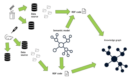 Knowledge graph creation process