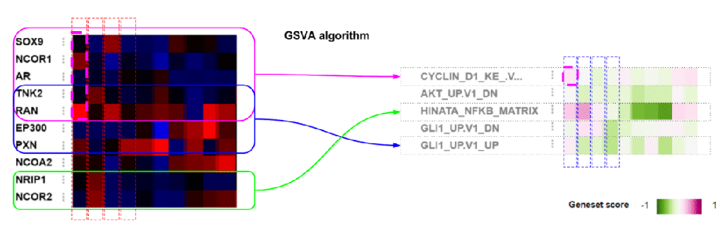 C Bio Portal GSVA